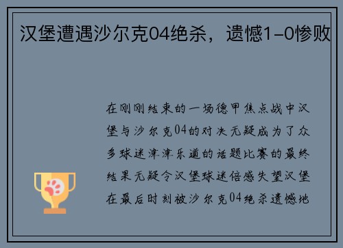 汉堡遭遇沙尔克04绝杀，遗憾1-0惨败